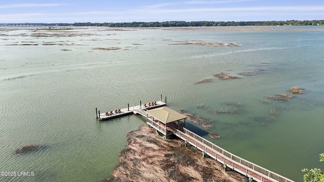 66 Pinckney Blvd, Beaufort, SC 29902