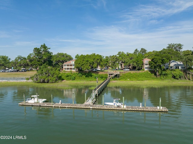 dock area with a water view