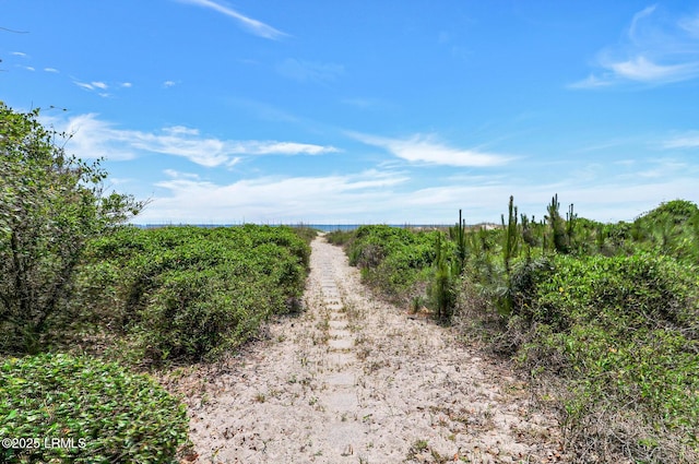 28 Green Heron Rd, Hilton Head Island, SC 29928 - photo 58