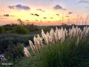 view of nature at dusk