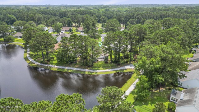 10 Saint George Cir, Okatie, SC 29909 - photo 58