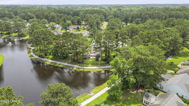 10 Saint George Cir, Okatie, SC 29909 - photo 57