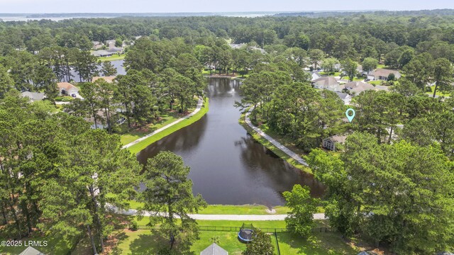 10 Saint George Cir, Okatie, SC 29909 - photo 56
