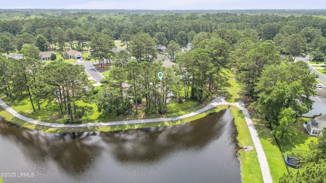 10 Saint George Cir, Okatie, SC 29909 - photo 59