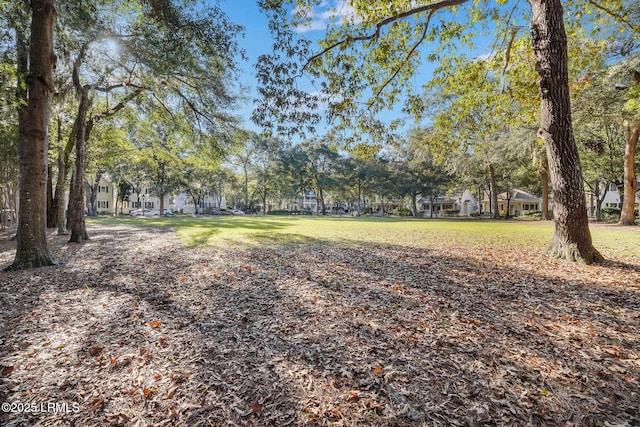 5 Regent Ave, Bluffton, SC 29910 - view of yard
