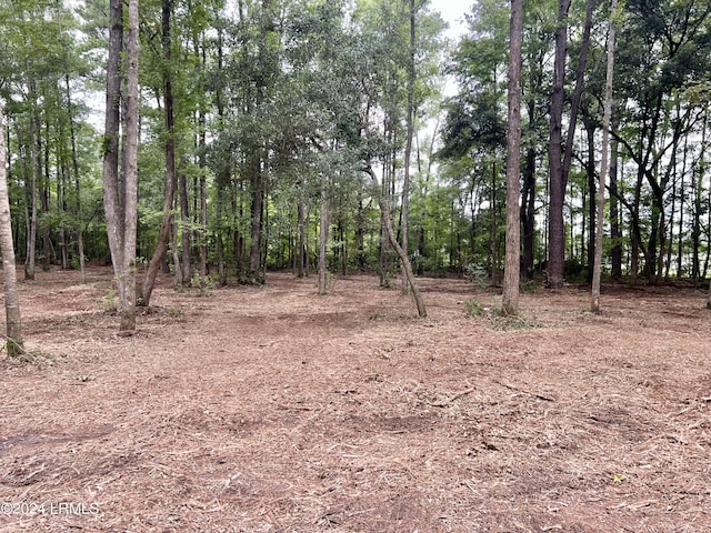 24 Major St, Yemassee SC, 29945 land for sale