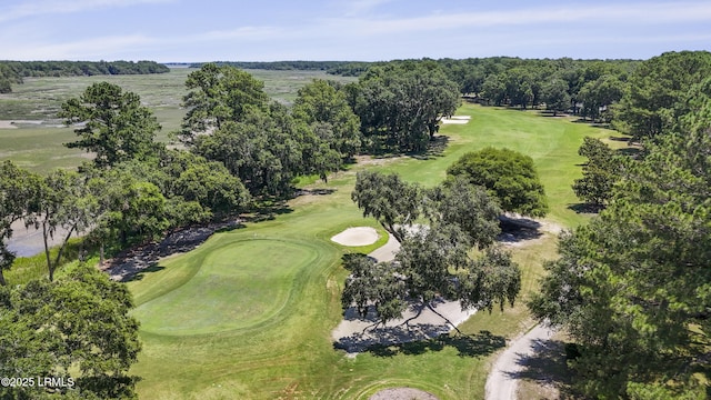 7 Crescent Cir Unit 1D, Bluffton, SC 29910 - photo 65