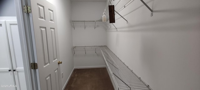 walk in closet with dark colored carpet