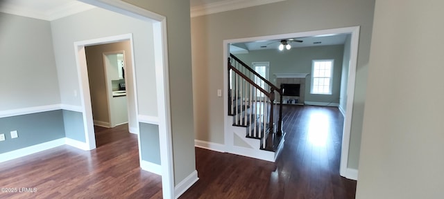 hall with crown molding, stairs, baseboards, and wood finished floors