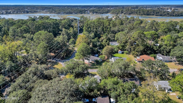 3001 N St, Beaufort, SC 29902 - view of property location featuring a heavily wooded area and a large body of water