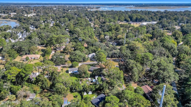 3001 N St, Beaufort, SC 29902 - aerial overview of property's location with a large body of water and a forest