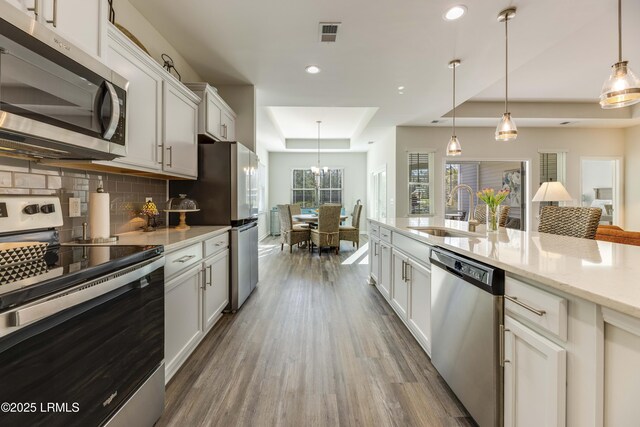 kitchen featuring visible vents, a sink, a raised ceiling, stainless steel appliances, and dark wood-type flooring