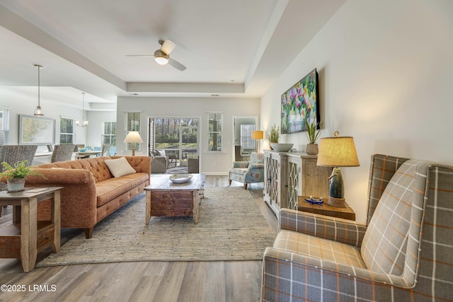 living room with a ceiling fan, wood finished floors, and a tray ceiling