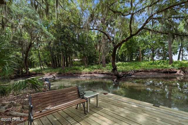 1808 Lenora Dr, Port Royal, SC 29935 - photo 72
