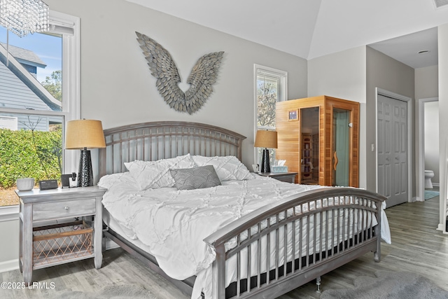 bedroom featuring hardwood / wood-style flooring, lofted ceiling, and a closet