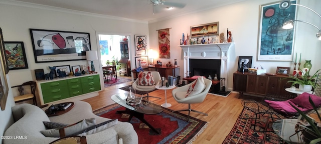 45 Holbrook Dr, Beaufort, SC 29902 - living area featuring light wood-type flooring, ornamental molding, a ceiling fan, and a fireplace