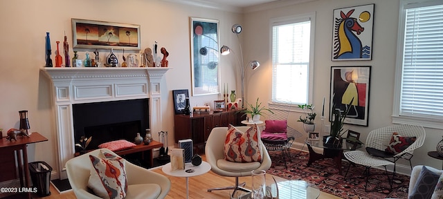 45 Holbrook Dr, Beaufort, SC 29902 - living room with a fireplace and wood finished floors