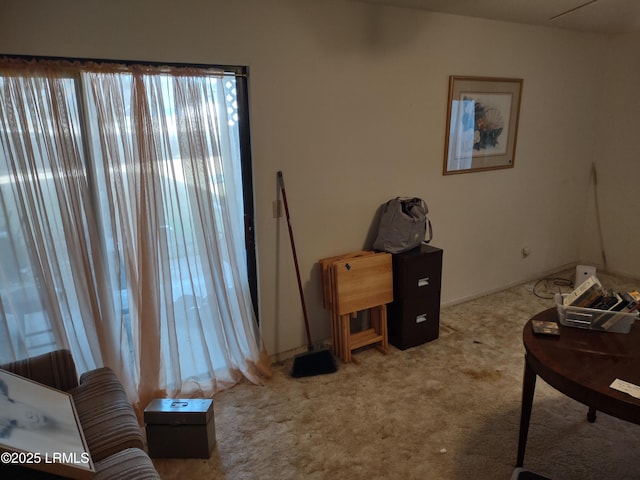 living area featuring carpet