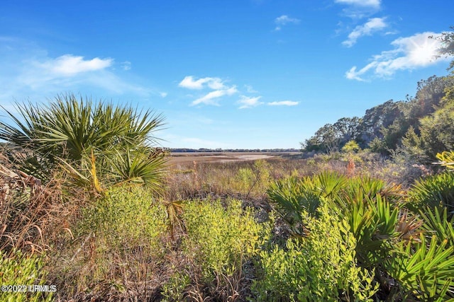 30 Renty Dr, Saint Helena Island, SC 29920 - photo 2