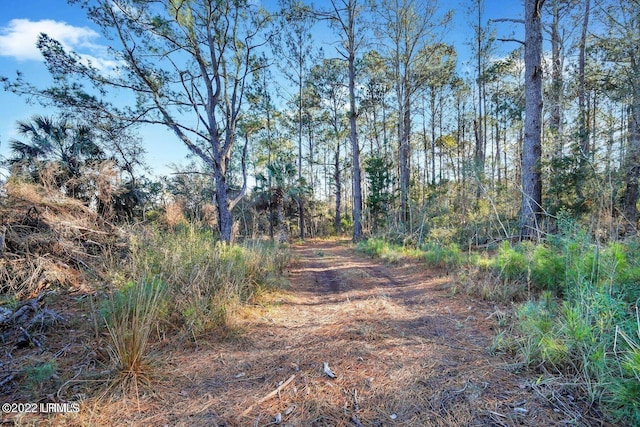 30 Renty Dr, Saint Helena Island, SC 29920 - photo 3