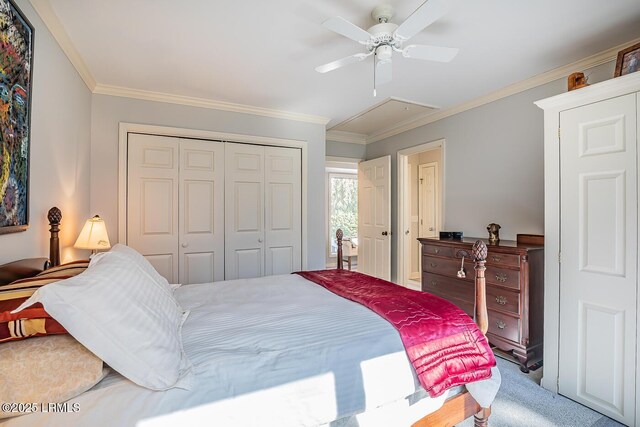 carpeted bedroom with ceiling fan, ornamental molding, and a closet