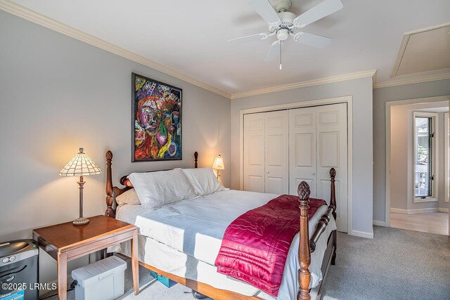 carpeted bedroom featuring crown molding, a closet, and ceiling fan