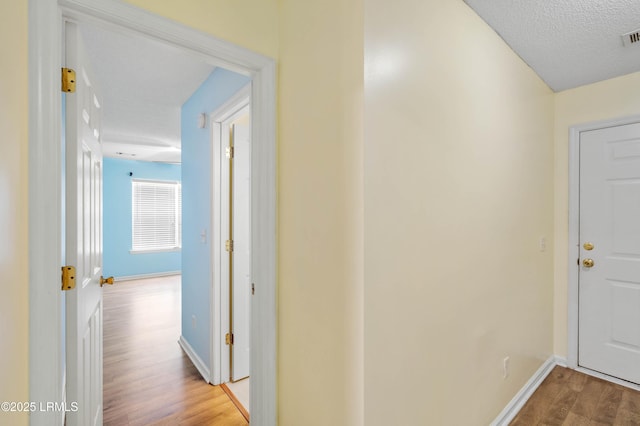16 Star Magnolia Ct, Beaufort, SC 29907 - hall with wood finished floors and baseboards