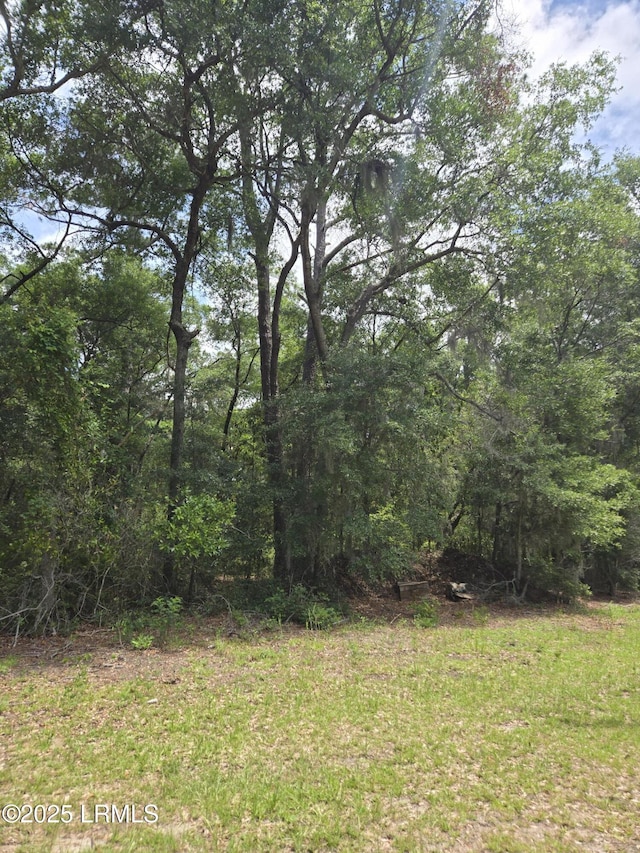 TBD Mclane St, Saint Helena Island, SC 29920
