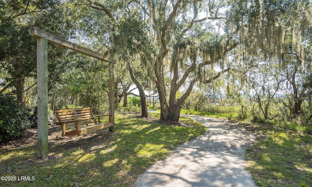 105 Bartram Dr, Beaufort, SC 29902 - view of community