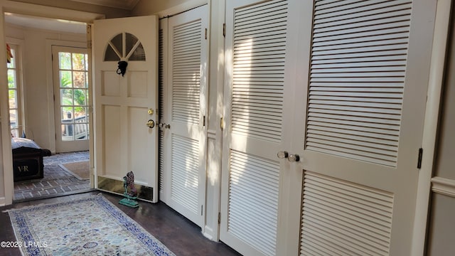 entrance foyer with dark hardwood / wood-style flooring