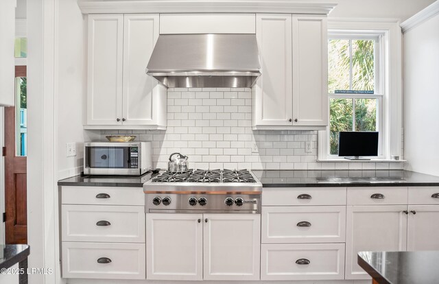 kitchen featuring decorative backsplash, stainless steel appliances, exhaust hood, and white cabinets