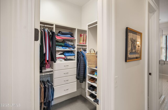 view of spacious closet