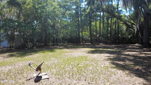 view of yard with a forest view