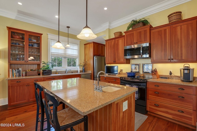 kitchen with sink, crown molding, a center island with sink, appliances with stainless steel finishes, and pendant lighting