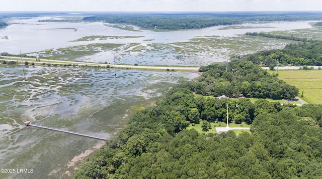 drone / aerial view featuring a forest view and a water view