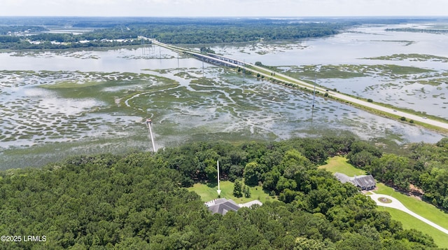 bird's eye view with a water view and a view of trees