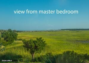 view of undeveloped land