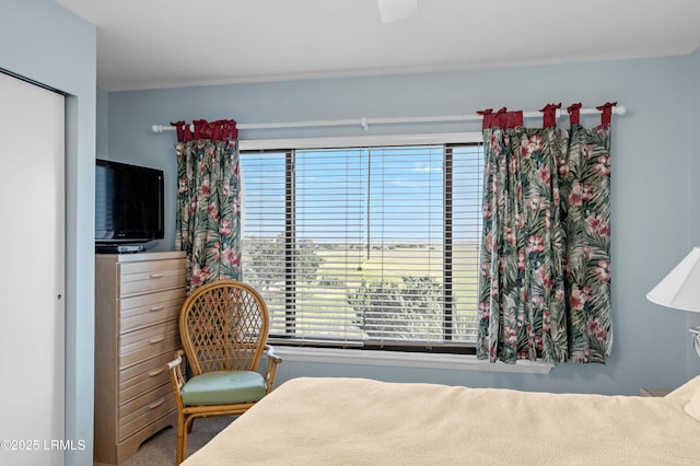 bedroom featuring multiple windows