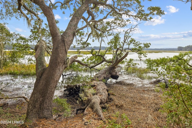 water view