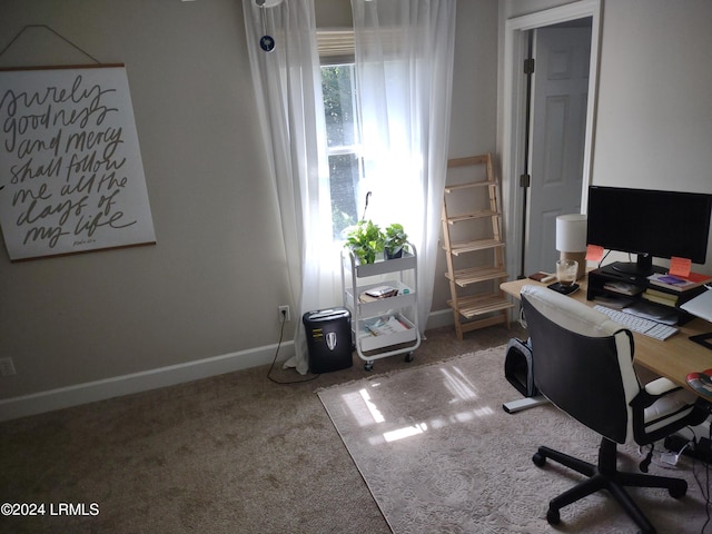 office with carpet floors