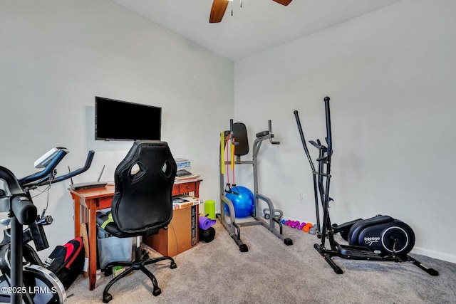 exercise area featuring ceiling fan and carpet flooring