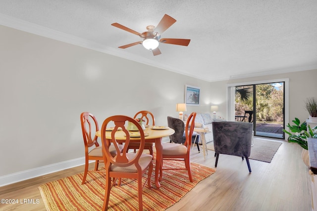 dining area featuring ceiling fan, crown molding, light hardwood / wood-style flooring, and a textured ceiling