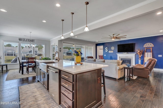 kitchen featuring stainless steel dishwasher, dark brown cabinets, dark wood-style floors, and ornamental molding