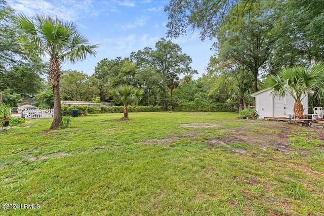 view of yard featuring a shed