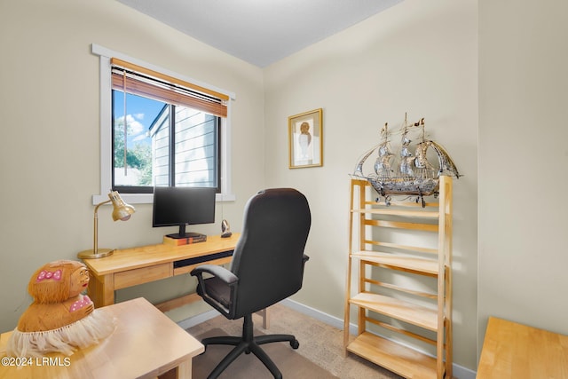 office featuring light colored carpet