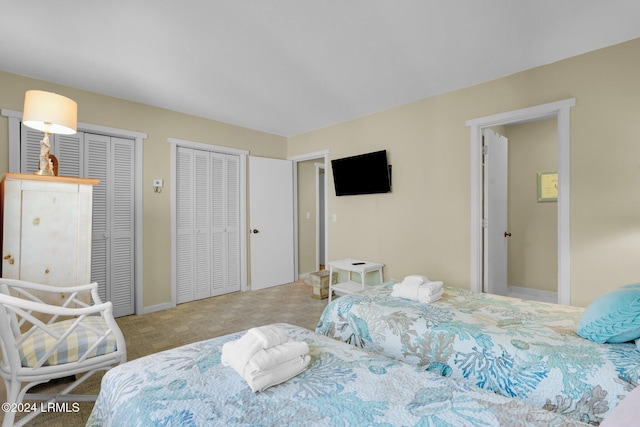 bedroom with two closets and carpet floors