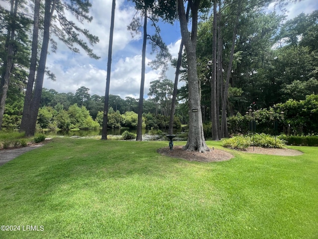 view of yard with a water view