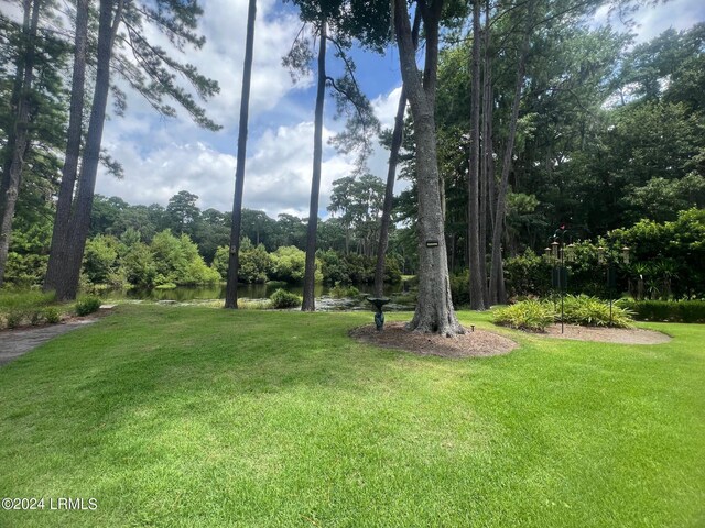 15 Jacks Dr, Daufuskie Island, SC 29915 - view of yard with a water view