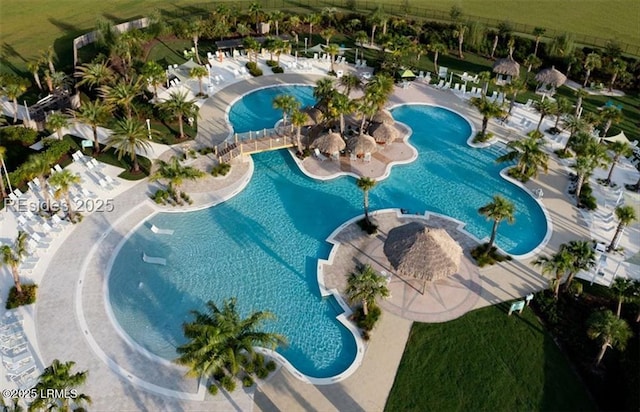 view of swimming pool