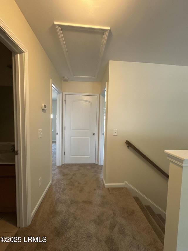 132 Patriot Ct, Beaufort, SC 29906 - photo 16